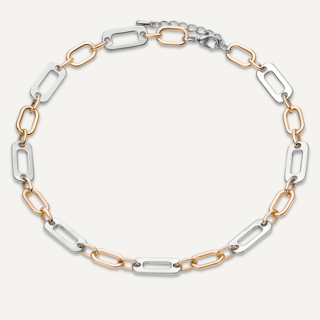 Alesha Contemporary Necklace In Silver & Gold-Tone