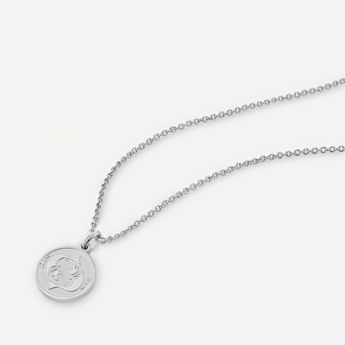 Detailed view of Pisces Zodiac Necklace In Silver (Feb 19 – March 20)