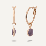 Amethyst Circular Gold Lever Earrings - D&X Retail