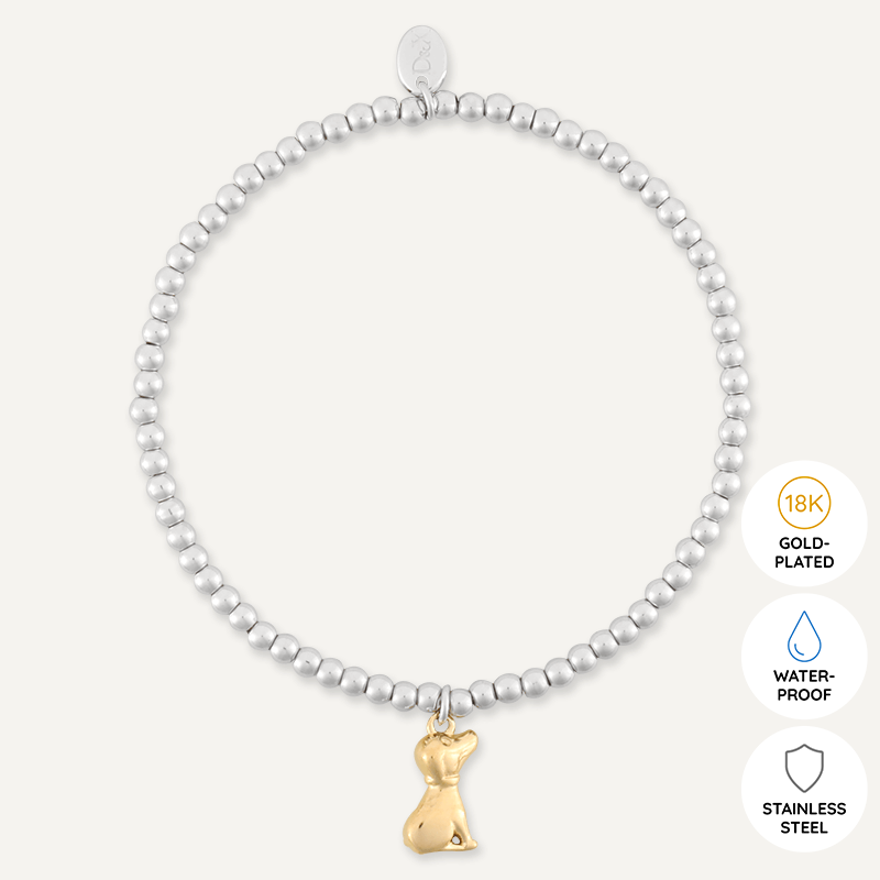 Memories: "YEAR OF THE DOG" | Dog Bracelet | White Gold & 18K Gold-Plated