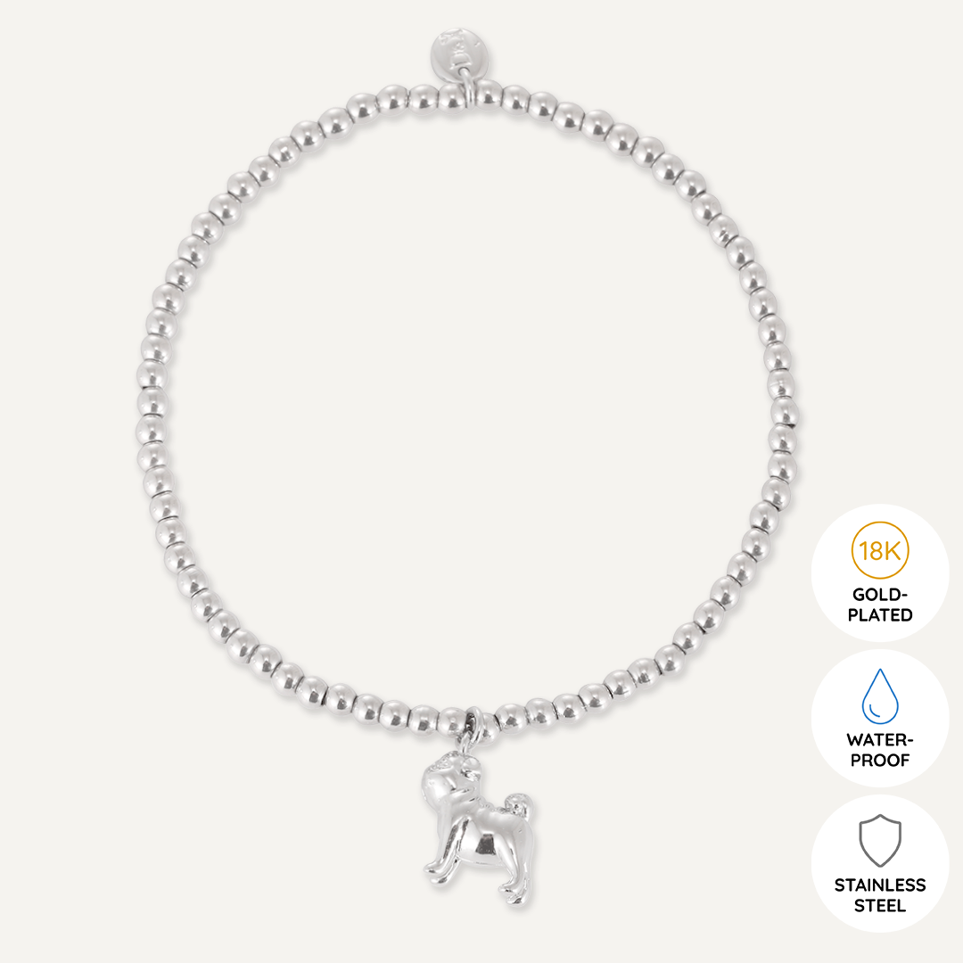 Memories: "BRITISH BULLDOG" | Bulldog Bracelet | White Gold-Plated