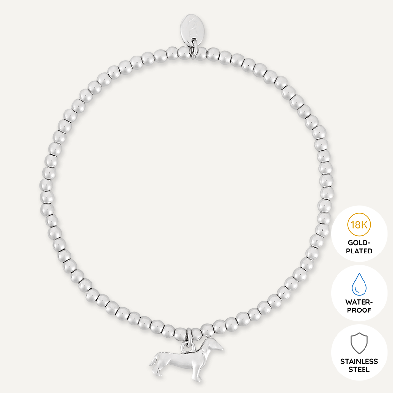 Memories: "DOGS…" | Dog Bracelet | White Gold-Plated