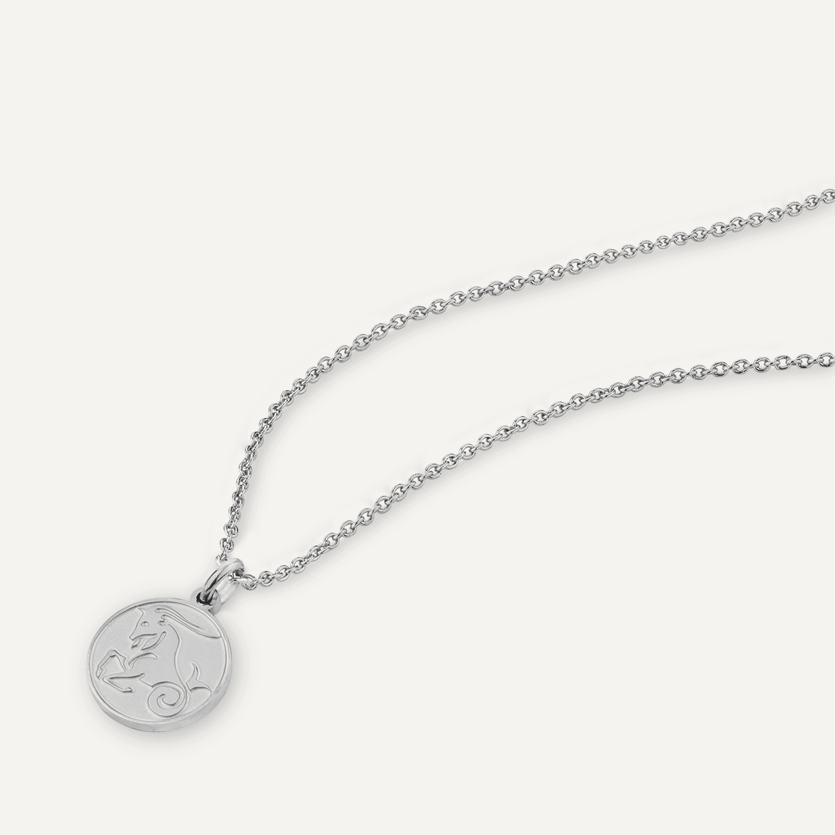 Detailed view of Capricorn Zodiac Star Sign Necklace in Silver (December 22 – January 19)