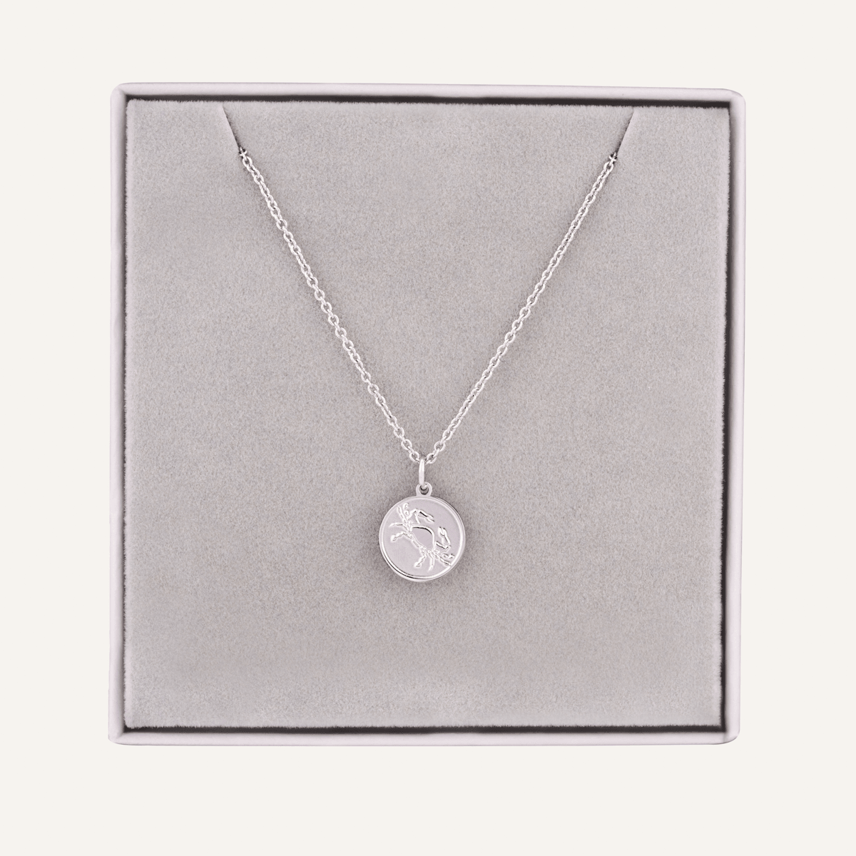 Detailed view of Cancer Zodiac Necklace In Silver (June 21 – July 22)