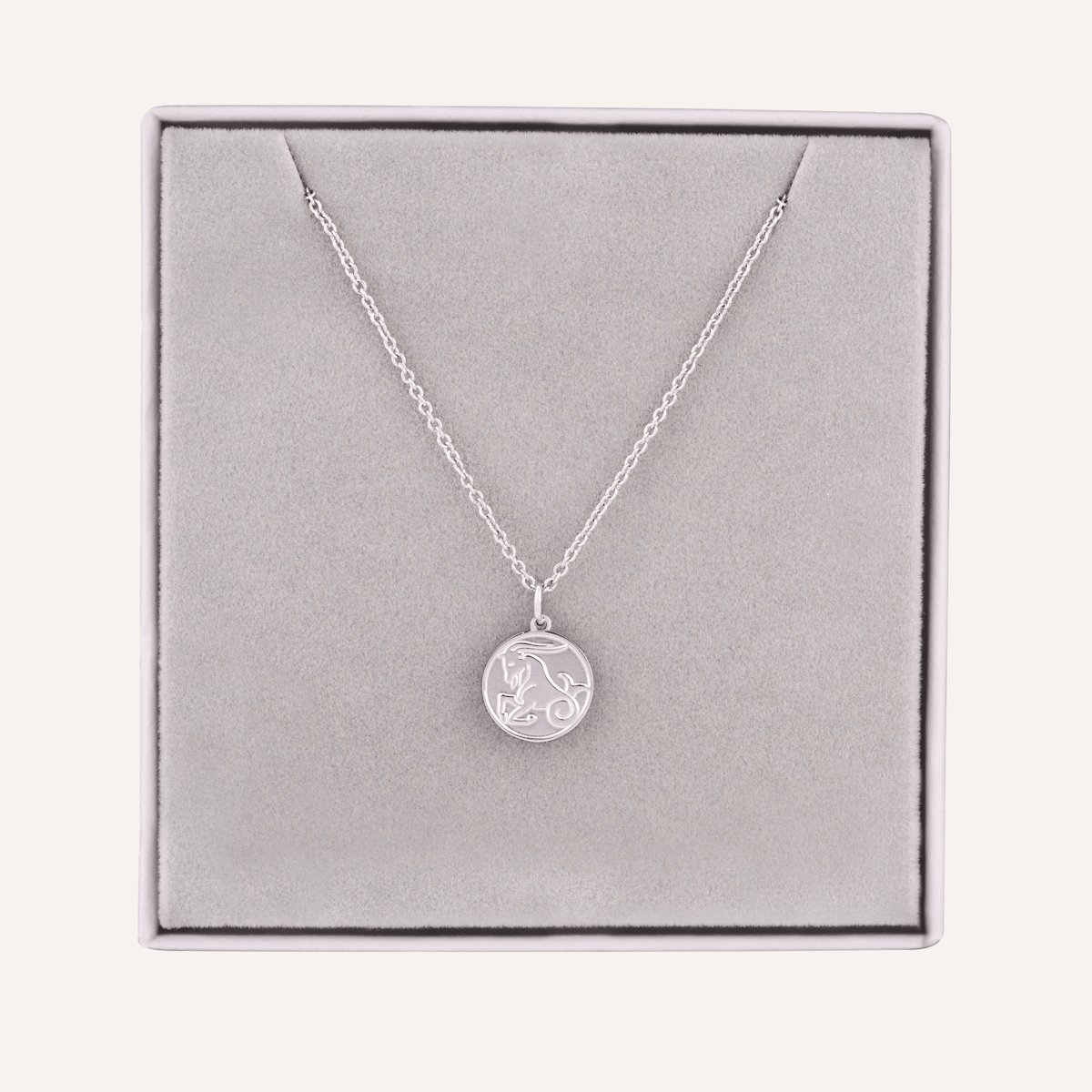 Detailed view of Capricorn Zodiac Star Sign Necklace in Silver (December 22 – January 19)