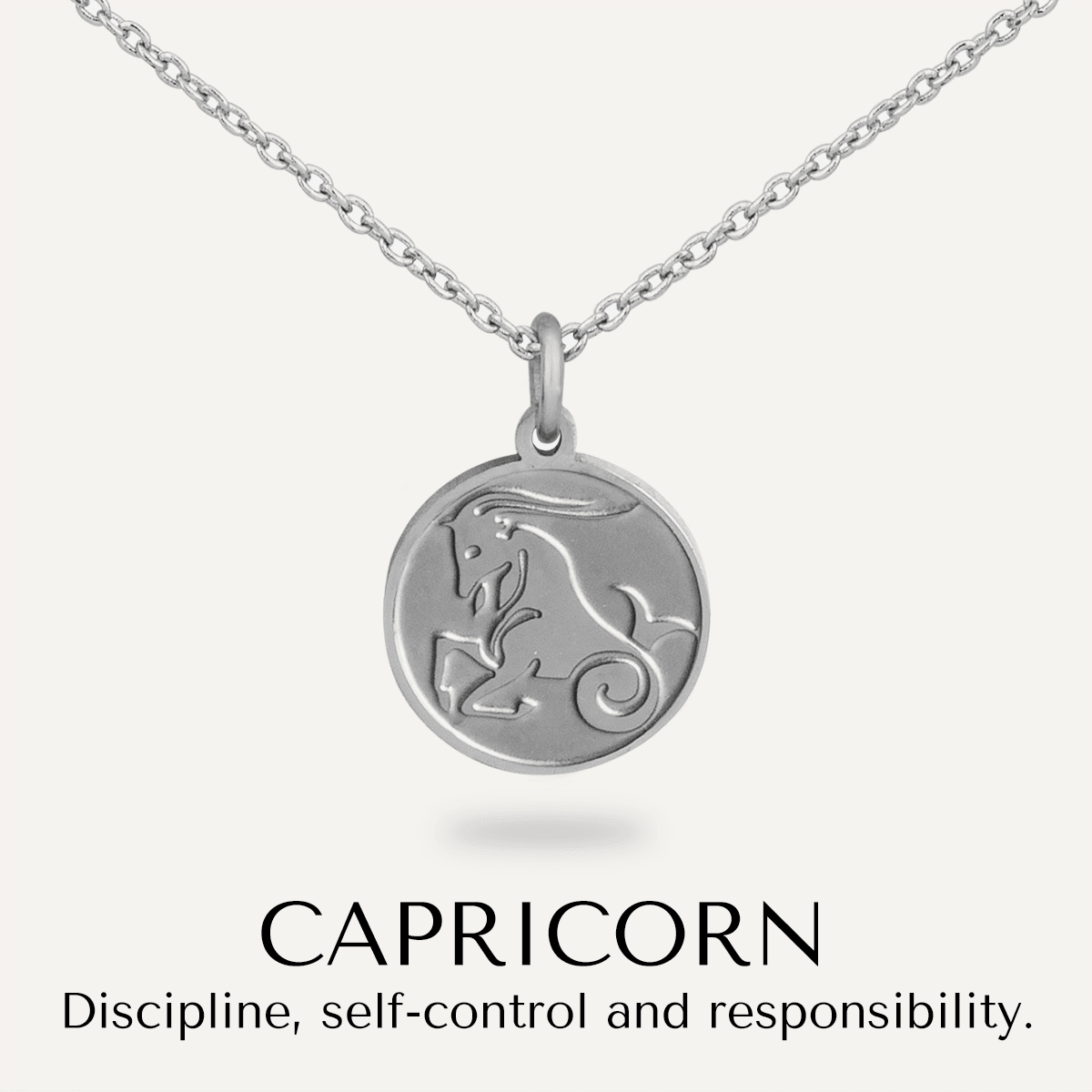Capricorn Zodiac Star Sign Necklace in Silver (December 22 – January 19) - D&X Retail